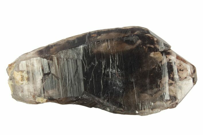 Natural Smoky Quartz Crystal - Colorado #234633